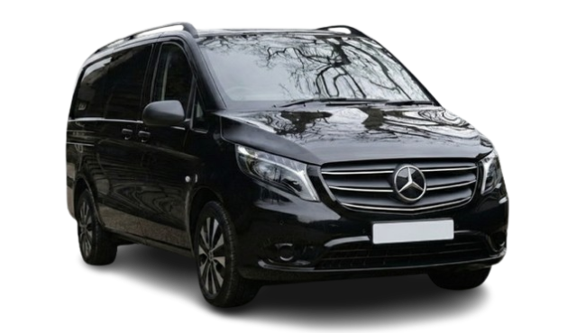 Gemini_Generated_Image_5s2dff5s2dff5s2d-removebg-preview